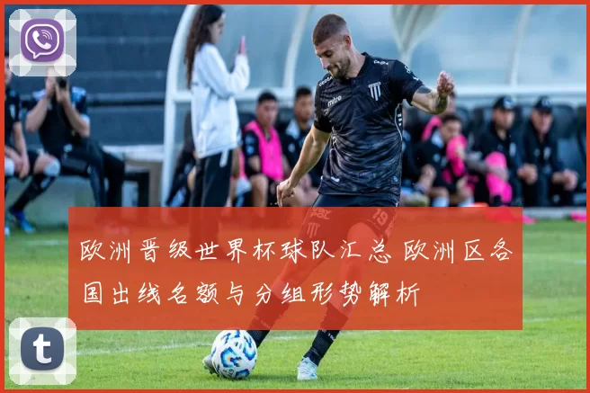 欧洲晋级世界杯球队汇总 欧洲区各国出线名额与分组形势解析