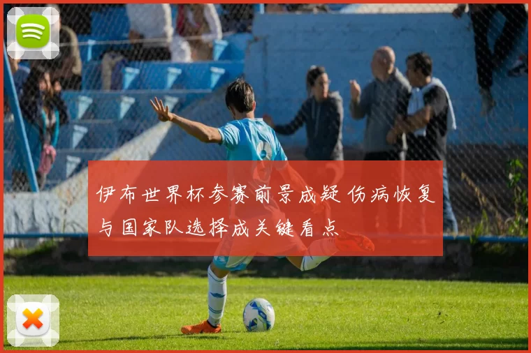 伊布世界杯参赛前景成疑 伤病恢复与国家队选择成关键看点
