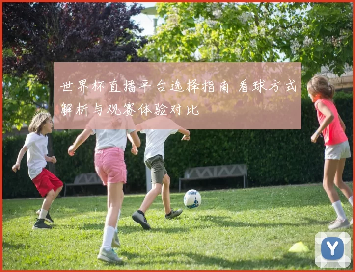 世界杯直播平台选择指南 看球方式解析与观赛体验对比