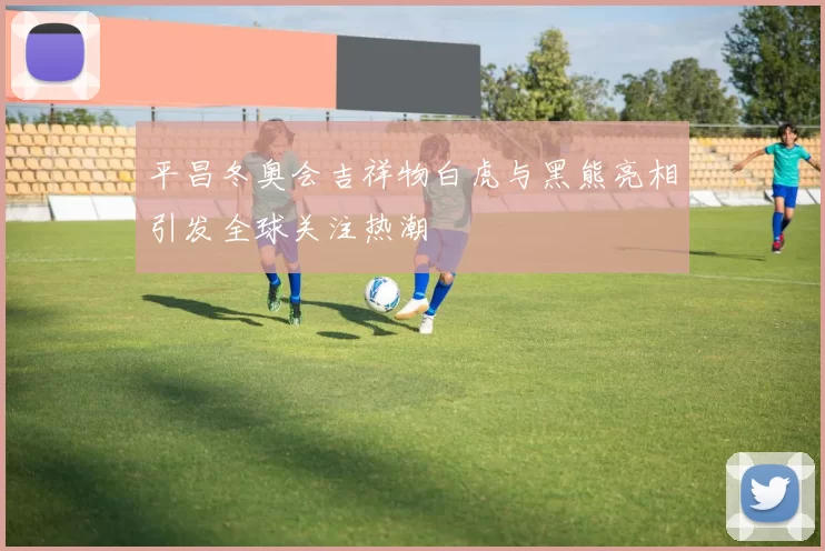 平昌冬奥会吉祥物白虎与黑熊亮相引发全球关注热潮